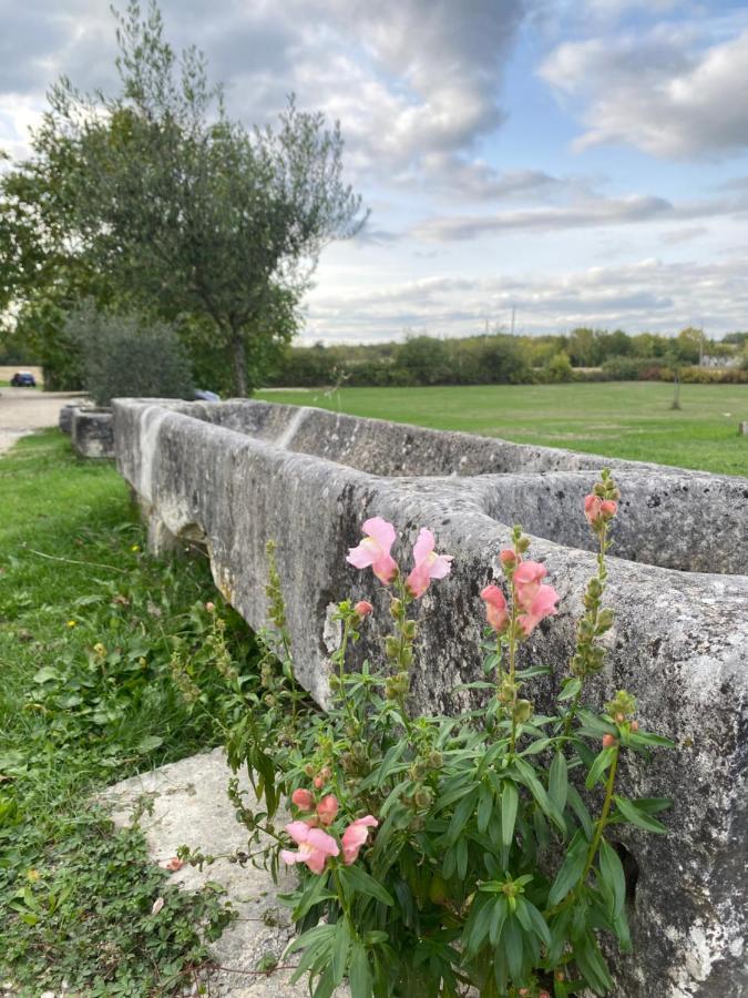 Domaine De La Laigne - Spa Asnieres-la-Giraud Екстер'єр фото